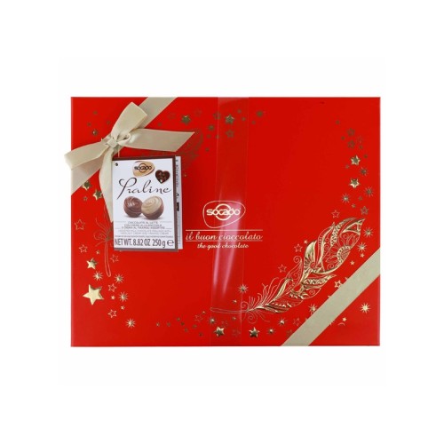 Socado Assorted Chocolate Pralines Box 250g